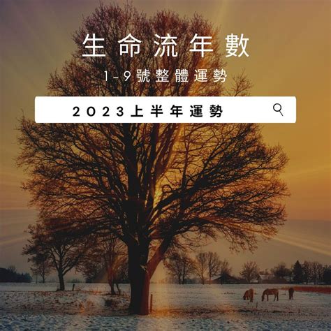 2023生命靈數流年9